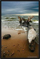 photo "***"