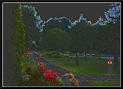 фото "Walk This Way"