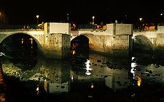 фото "Noctural reflections..."