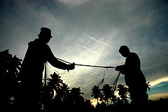 photo "local fisherman"