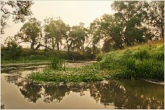 photo "Morning"