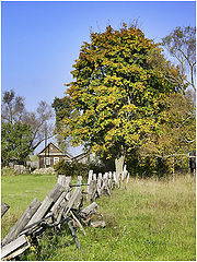 photo "Native remote places"