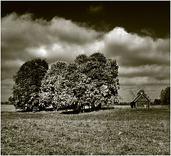photo "***"