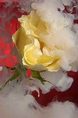 photo "***"