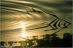 photo "***"