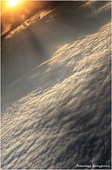 photo "***"