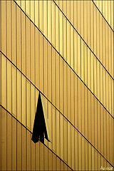 photo "Windows"