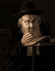 фото "Мудрец"