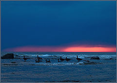 photo "Evening rest"