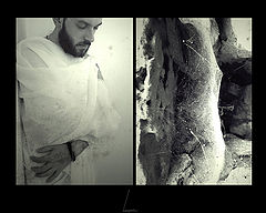 photo "coccoon"