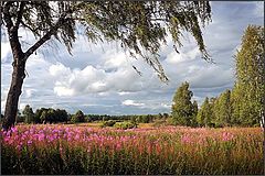 photo "Breeze of Jul"