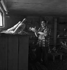 фото "Голубка"