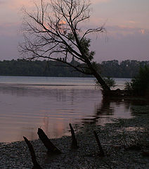 photo "***"