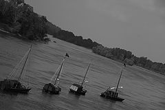 photo "Loira"