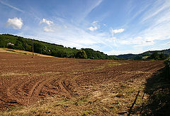 фото "Sunny day"