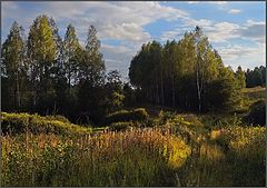 photo "August. Golden Sunset"