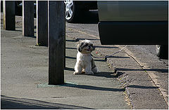 фото "Walk"