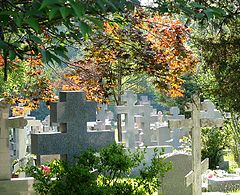 фото "Russian cemetery."