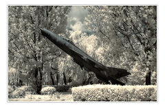 photo "fly"