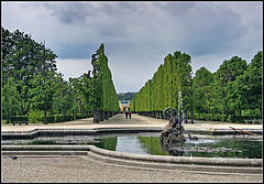 фото "Старый парк"