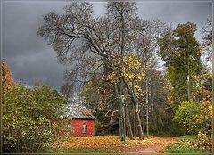 photo "***"