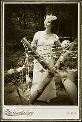 photo "***"