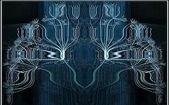 фото "symmetry"