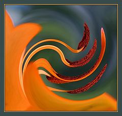 фото "whirl"