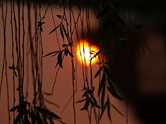 photo "The Heart of Sunrise"