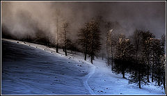 фото "Pathway"