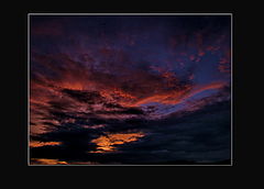 photo "The sky from the earth"