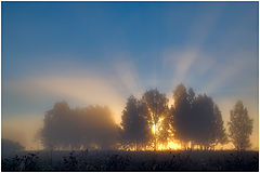 фото "Озарённые"