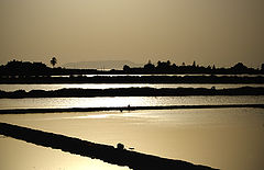 photo "tramonto sulle saline"