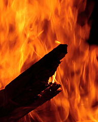 фото "Into the flame"