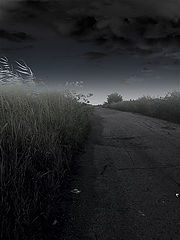 фото "..."