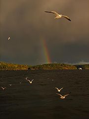 photo "***"
