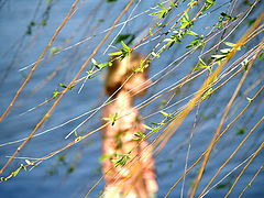photo "Into the Childhood (Взгляд в детство)"