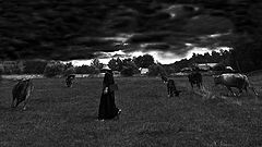 photo "Storm is back"