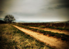 фото "The Road to Loneliness"