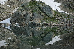 photo "***"