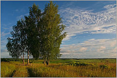 photo "Lonely a place"