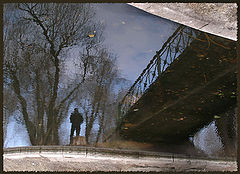 photo "Отражение. В парке Победы"