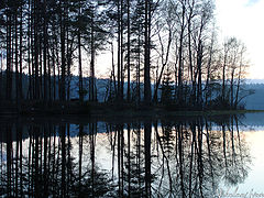 photo "***"