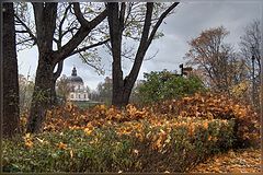 photo "***"