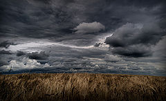 фото "Creepy fields"