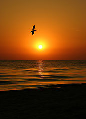 photo "Sunset photo"
