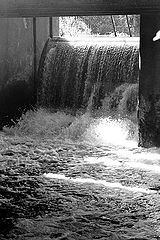 photo "Water is coming"