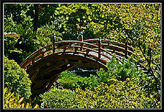 фото "Bridge To Tarabitha"