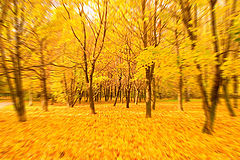 photo "***"