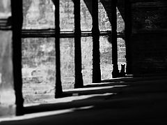 photo "***"